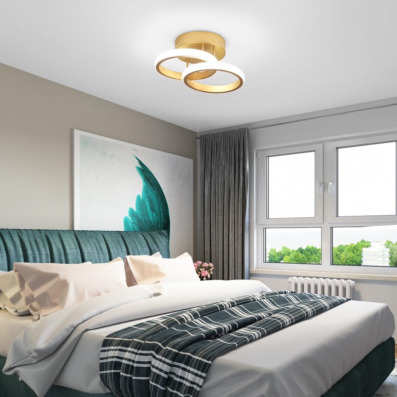 EIDISUNY LED Ceiling Light Modern Ceiling Lamp Silver Round Simple