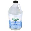 Charlie's Soap Indoor-Outdoor Surface Cleaner with Pump (1 Gallon, 1