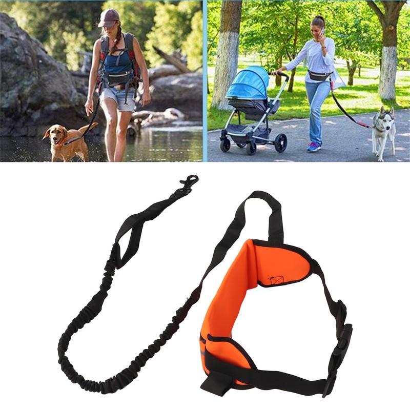 Hands Free Dog Leash Shock Absorption Reflective Dog Running Leash