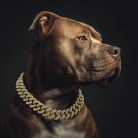 BlingBling Warmth Sparkling Cuban Link Dog Collar with Diamond Inlay - Elegant Gold Chain for Dogs and Cats, Comfortable fit, 8 Size Options (3XL)