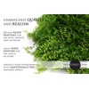 Artificial Hedge - Outdoor Artificial Plant - Great Fern and
