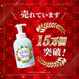 Fruit of the World, Clean Foaming Facial Cleanser, Facial Cleanser, Pore Cleaning, Additive-free, Large Capacity, Papain Enzymes, Lava Clay Cutter, Deep Pores, Contains Beauty Ingredients Derived from
