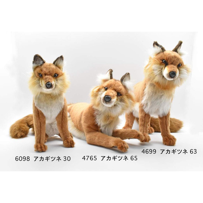 Hansa Acorn Fox 30 No. 6098
