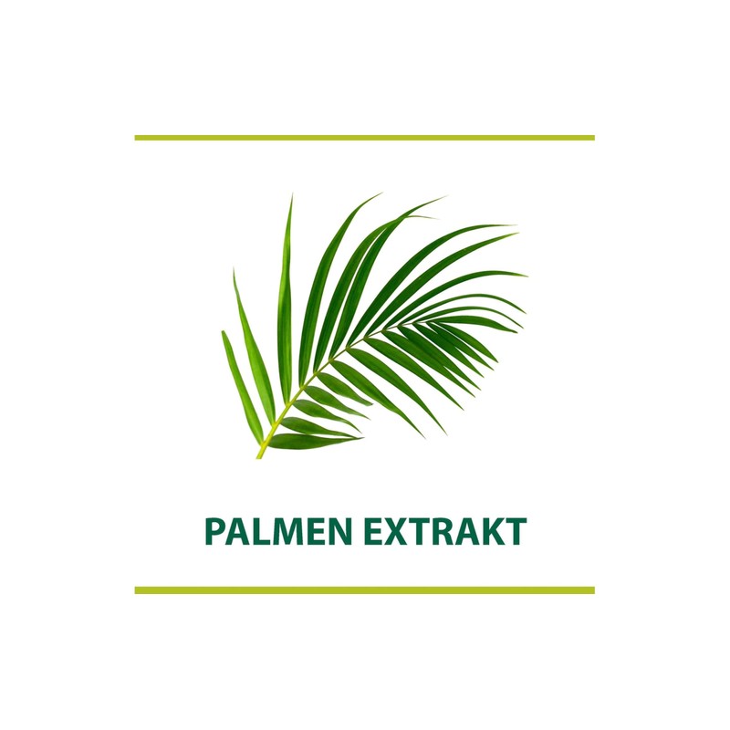 Palmolive Men Shave Cream Classic with Palm Extract, Shave Lather