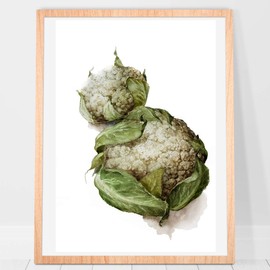 Cauliflower Cabbage Vegetable Print Watercolor Housewarming Decor Rustic Farmhouse Kitchen Home Decor Giclee Print Still Life Botanical Vegetable Art 8 x 10 inches Unframed