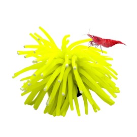 CTWPets Fluorescent Aquarium Decor – Glowing Fish Tank Ornament for Freshwater & Saltwater | Safe for Betta, Shrimp, & Tropical Fish | Includes Collector Card (Yellow, Small)