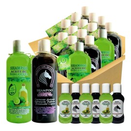 6 Shampoos Bergamota 6 Shampoo Cola De Caballo +12 Muestras