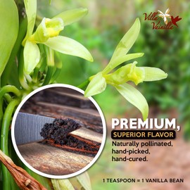Villa Vainilla Pure Vanilla Extract - Premium Concentrated, Real, Natural, Gourmet Flavor from Mexico (8.4 Fl Oz Pure Vanilla Extract)