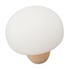 Mushroom Lamp Silicone Slap Dimmable Rechargeable Mushroom Night Light for