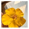 Pinza Para El Cabello Con Forma De Hibisco Amarillo