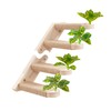 2 Packs Cat Wall Steps Cat Steps for Wall Cat