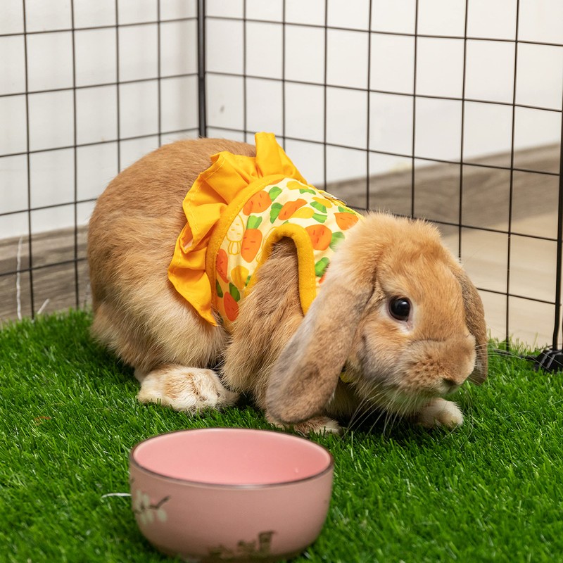 ALUZAEMO Bunny Harness and Leash Set, Escape Proof Carrot Mesh