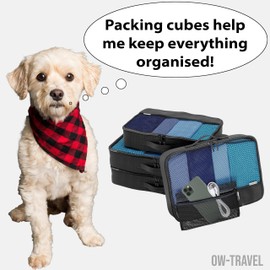 OW-Travel Easy to Organise Mesh Zipper Pouches (Black 4 Pcs) Small Zipper Organisers. Travel Essentials for Bags Backpacks Luggage Suitcases. Travel Accessories Gifts Holiday Essentials