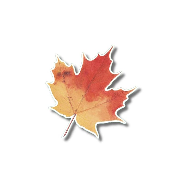 Earth Sky + Water - Sugar Maple Leaf - 3.5″