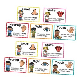 Operitacx 2 Sets Preschool Learning Posters Kindergarten Flash Cards for Sensory Colors Shapes Educational Tools Versatile Display for Early Language Development