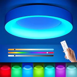 2.4GHz Remote Control for RGB Ceiling Light