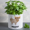 Mr. & Mrs. Panda Personalisierter XL Blumentopf Sternzeichen Stier -