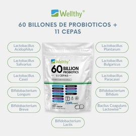 Wellthy Probioticos 60 Billones 11 Cepas. 60 Cápsulas 2 meses de Consumo, Cápsulas Veganas, DRcaps Acción Prolongada, Bottle Free.                    