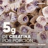 Creatina 5g Gomitas Electrolitos Sin Azúcar 80 Pzas Health Hack