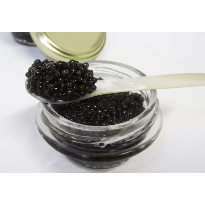 Bowfin Caviar - Choupique Roe - Wild American (2 ounce