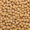 Wholefood Earth Soya Beans 1 kg | GMO Free |