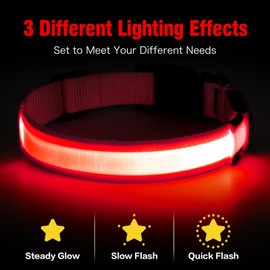 Illumifun LED Dog Collar, USB Rechargeable Light Up Dog Collars, Flashing Dog Collar Light for Your Dogs Walking at Night (Red, X-Large)
