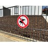 AllesKlaro® - Prohibition Sign - No Dogs Pee - 24