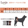 Luxja Dog Manners Belt, For Boys, Mesh, Waterproof, Stretchy, 3-Piece