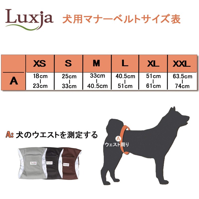 Luxja Dog Manners Belt, For Boys, Mesh, Waterproof, Stretchy, 3-Piece