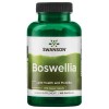 Swanson Boswellia Ayurvedic Herb for Joint Flexibility & Mobility Made