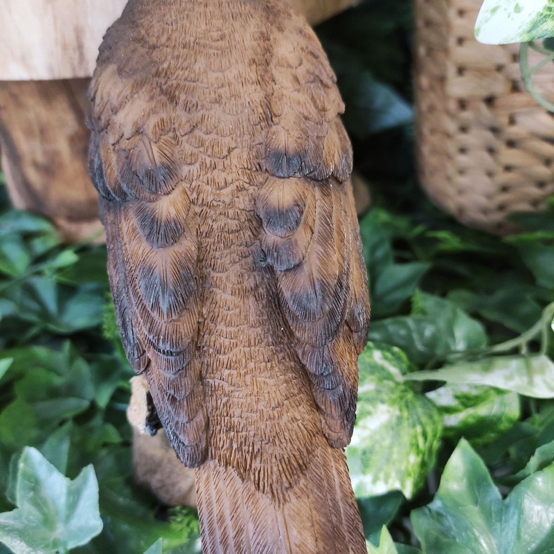 Vivid Arts Garden Birds (Song Thrush)