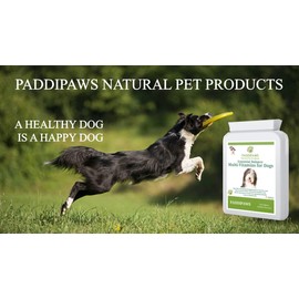 Multivitamins for Dogs with 24 Combined Multivitamins, Minerals & Nutrients to ensure your dog receives all the essential Vitamins and Micro-nutrients it needs for optimum health - 120 Tablets