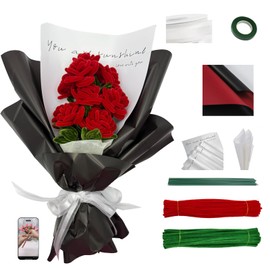 200PCS Pipe Cleaners Craft Supplies Chenille Stem Red and Green Pipe Cleaner Rose Kit with Tutorial DIY Flower Bouquet Craft Set for Art and Craft Projects Creative DIY Decorations (Red Rose)