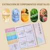 Yeokoe- 1. Fórmulas diversas, soluciones específicas Nuestras mascarillas para ojos