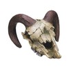Nobby Ram Skull Aquarium Ornaments, 17.5 x 16 x 9.5