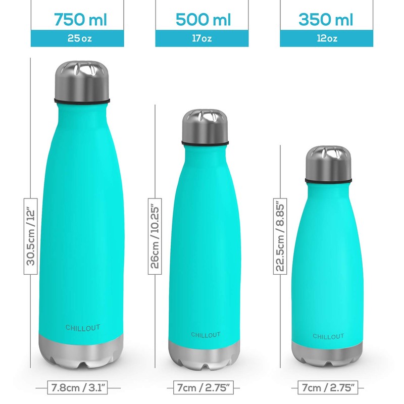 CHILLOUT LIFE Stainless Steel Water Bottle: 17 oz Double Wall