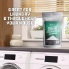 Pureza De Percarbonato De Sodio 99% - 2 Libras (Peroxido