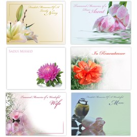 celloexpress Sadly Missed (Pink Aster) Flower Message Cards - 90mm x 125mm - Bereavement Florist Card Sympathy Condolences Notes (Pack of 18)