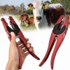 Pinzas Para Aretar Ganado, Toro, Cerdo, Borrego, Etc. Rojo