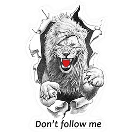 SS&Ds -Angry Loin -Don't Follow me- Vinyl Decal Sticker 5.75 X 3.6 inch for Cars, Trucks, Motorcycles, Boats & Laptops-SS&Ds -1151
