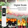 Pocket Scale with LCD Display Battery Free Portable Luggage Scale