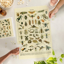 Lantern Press 1000 Piece Jigsaw Puzzle, Insects, C, Vintage Bookplate, Adolphe Millot Artwork