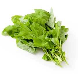 Mai's Family Green Amaranth - White Leaf seeds, Open pollinated, Heirloom, Non-GMO - 500+