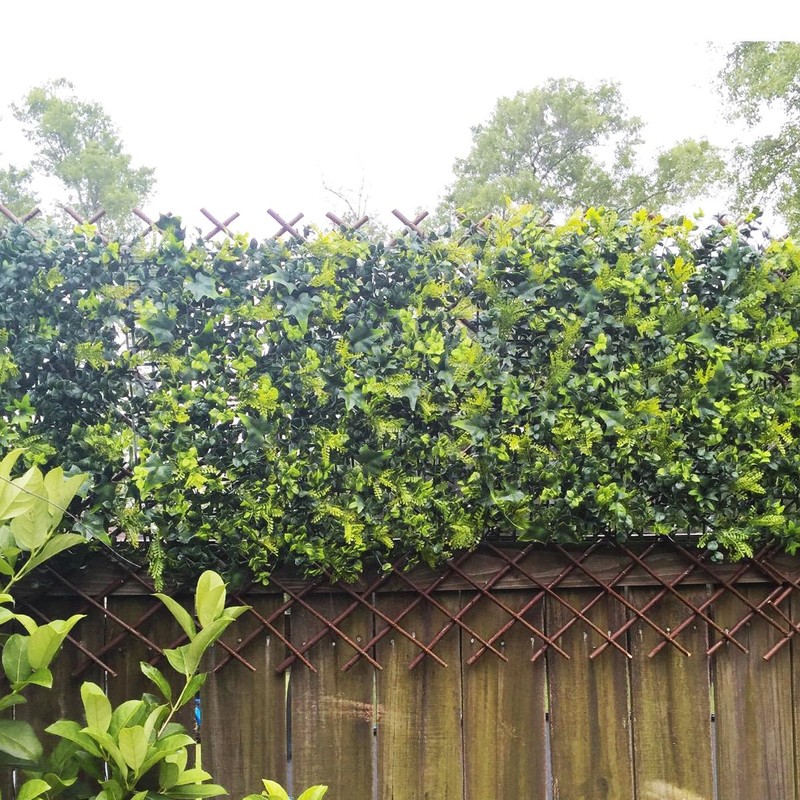 Expandable Garden Trellis Plant Support Willow Lattice Fence Panel for