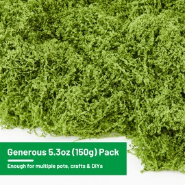 5.3OZ Artificial Fake Green Moss for Crafts, Faux Moss for for Plants Indoor DIY Floral Arrangements, Terrariums, Home Decor, Fairy Gardens