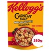Kellogg's Crunchy Nut Red Berries Breakfast Granola 380g