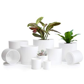 D'vine Dev 10 Pack Plastic Plant Pots for Plants, 6.5/6/5.5/5/4.5/4/3.5/3/2.5/2 Inch Indoor Planters Cylindrical Succulent Pot with Drainage Hole and Saucer, White, 74-S-A