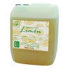 Productos Mart Mexico Shampoo Capilar De Limón Anti Caída (5