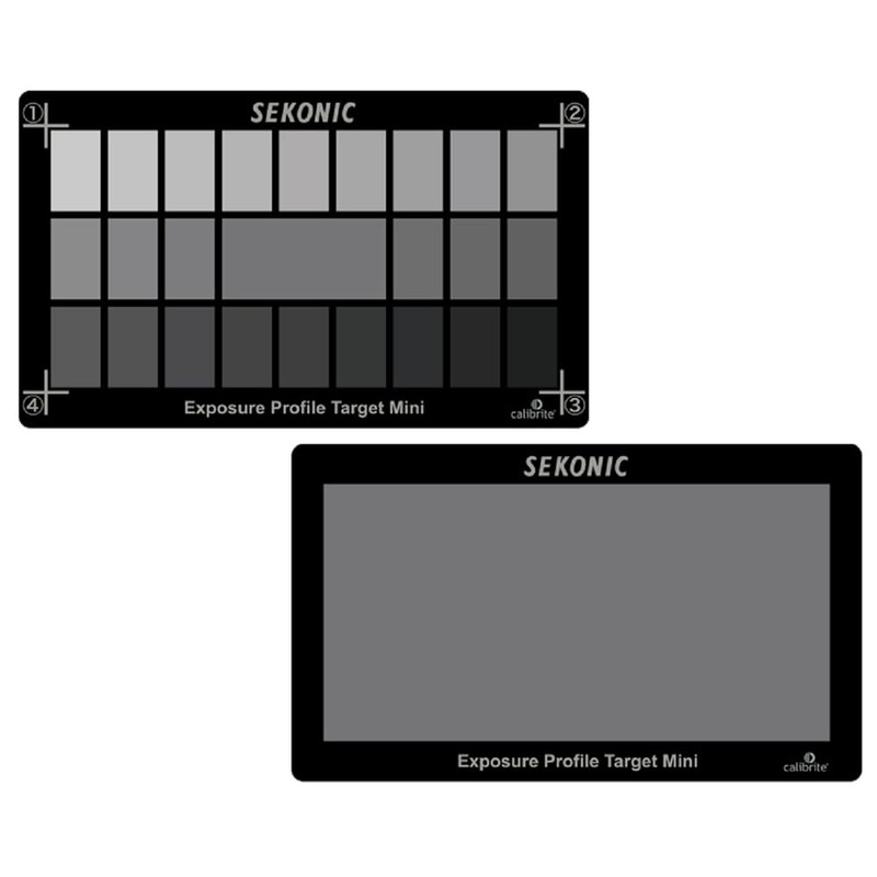 Seconic Exposed Profile Target Mini 014995