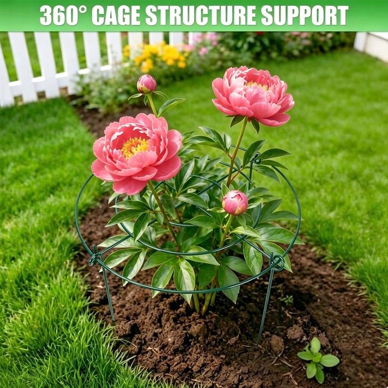 DAYUMKOU 4 Pack Peonies Cages and Supports, 14" Wide x